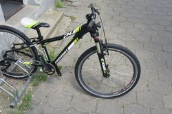 Cannondale Trail Team