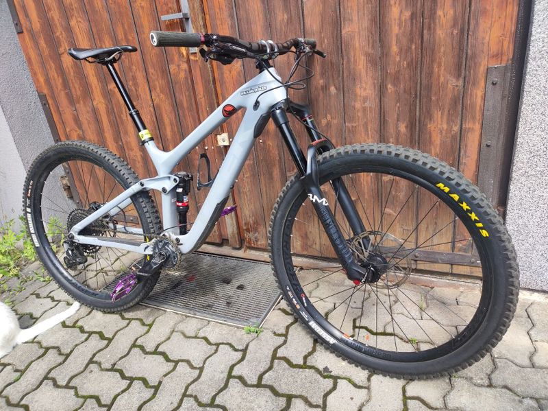 Trek Slash 