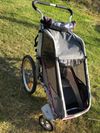 Thule Chariot 1