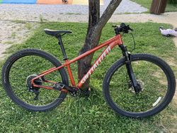 Specialized rockhopper elite