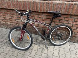 Prodej kola specialized