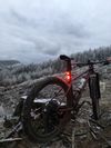 Specialized expert ht 2020 