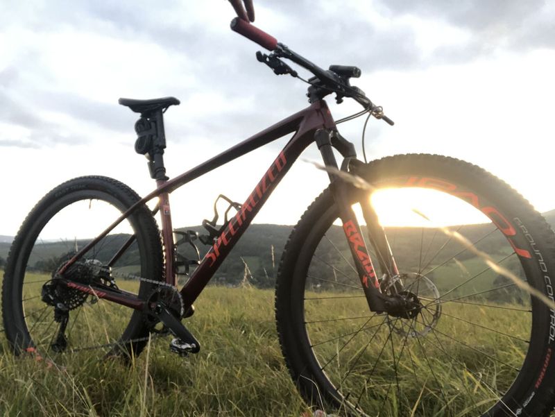 Specialized expert ht 2020 