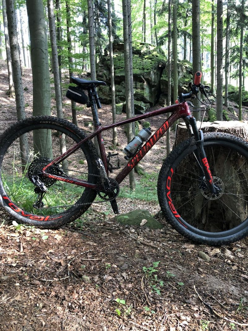 Specialized expert ht 2020 