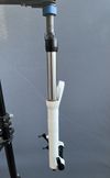 Rock shox domain r 302