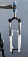 Rock shox domain r 302