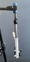 Rock shox domain r 302