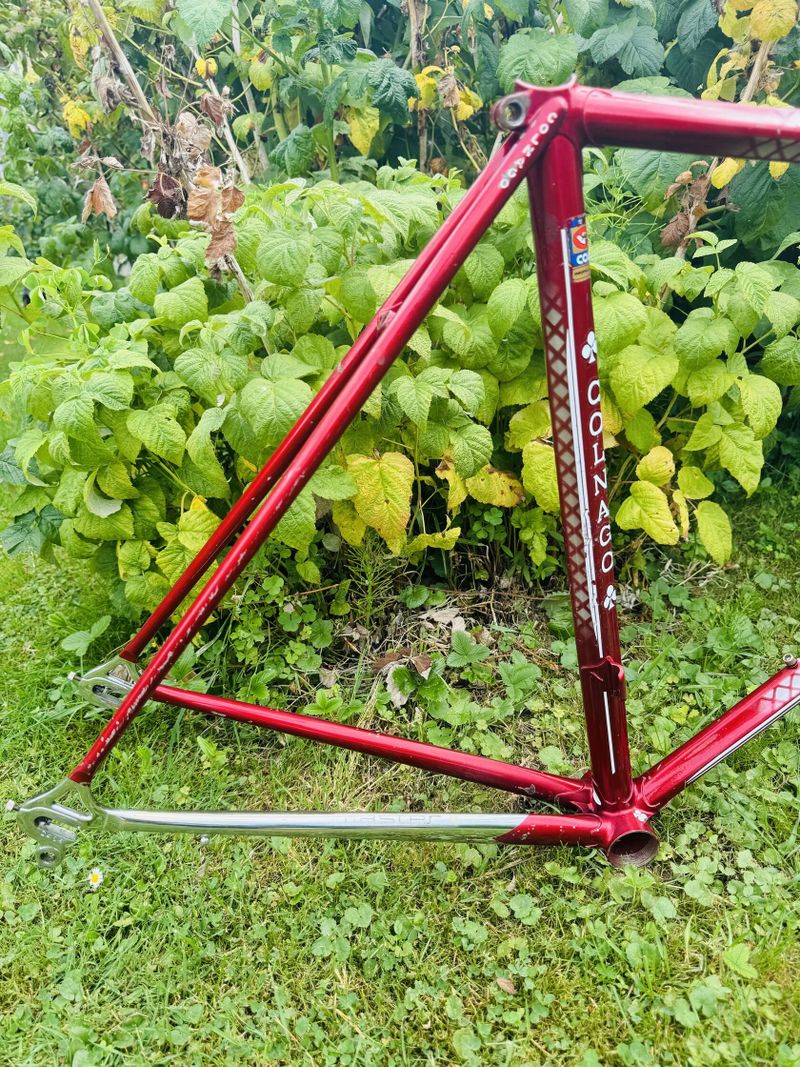 Colnago Master Del Tongo