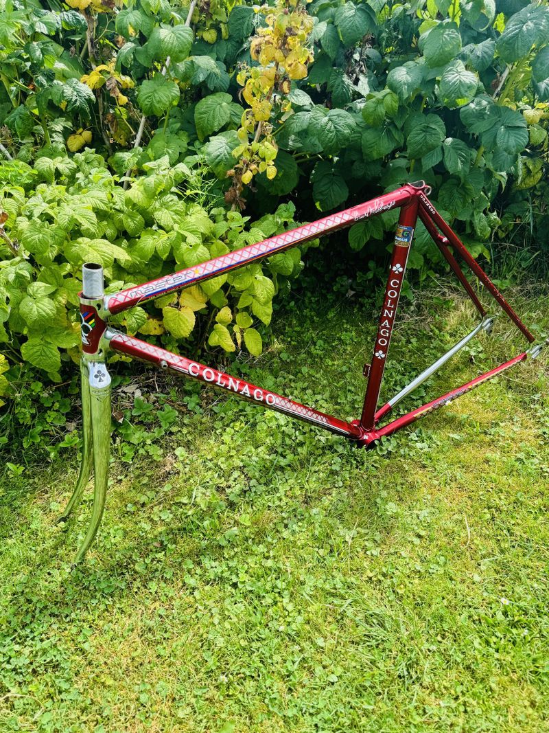 Colnago Master Del Tongo