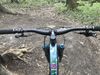 !! Trek remedy 9.9 limited edition !!