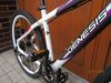 Prodám juniorské MTB kolo Genesis Element 