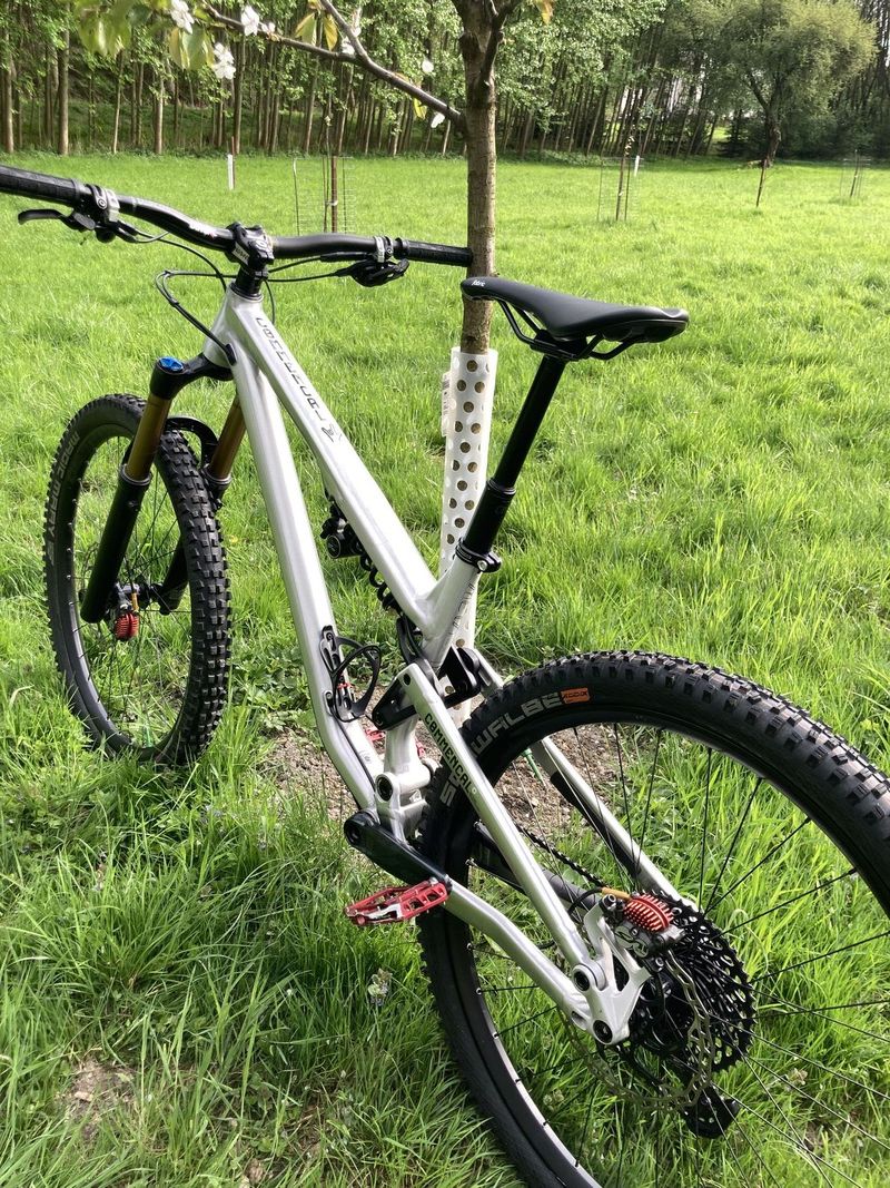 Commencal meta tr29