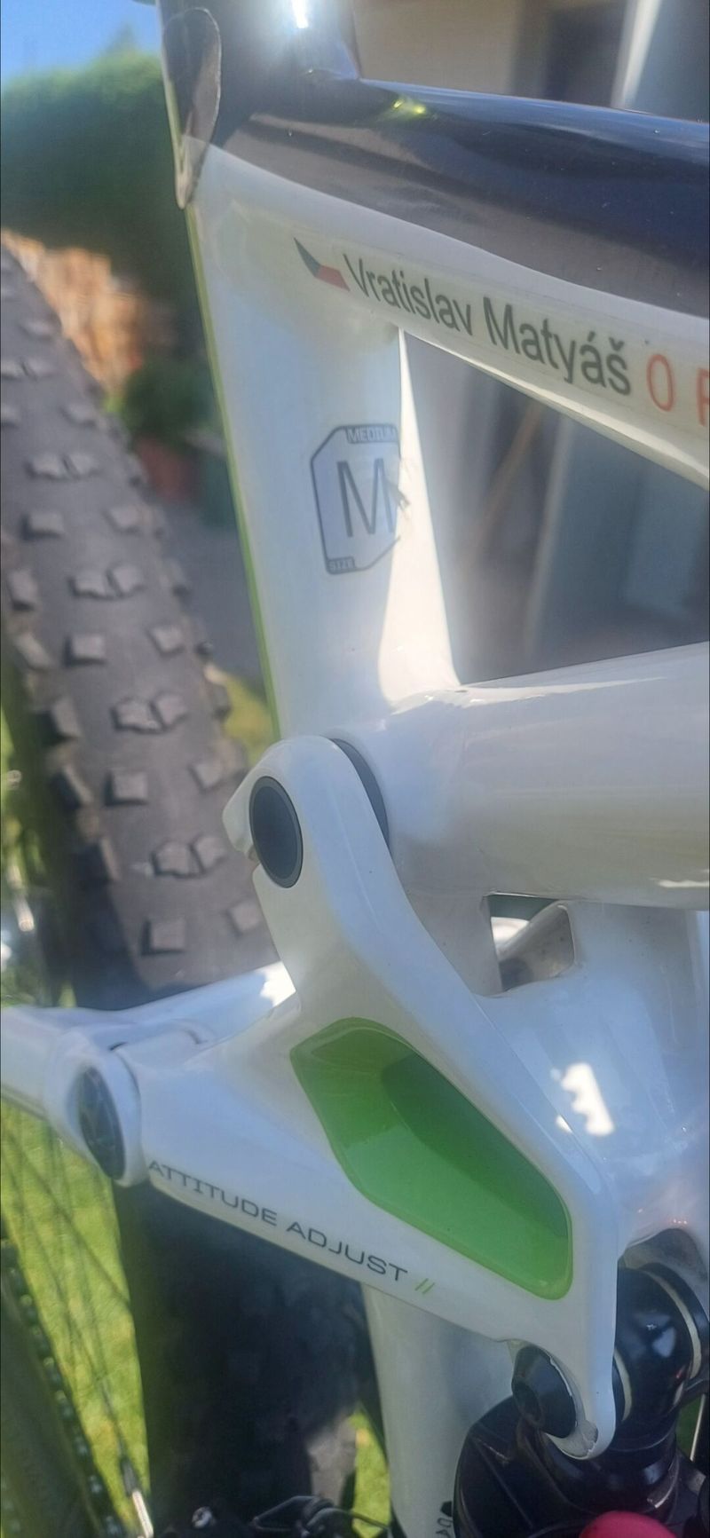 Cannondale trigger