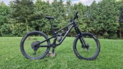 Canyon Torque 2022 CF