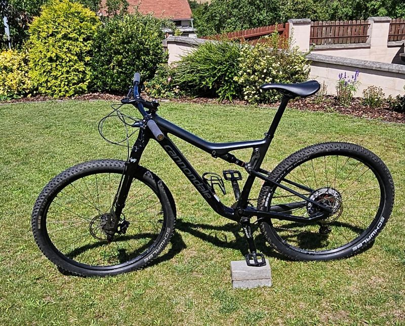 Cannondale Scalpel karbon, Lefty Ocho