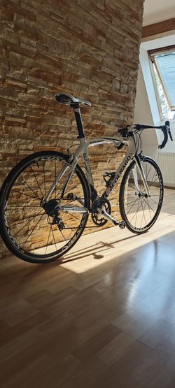 Prodám krásné karbonové COLNAGO CLX