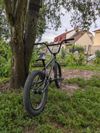 Bmx CTM pop