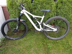 Specialized Stumpjumper LT comp alloy 29 2019 L