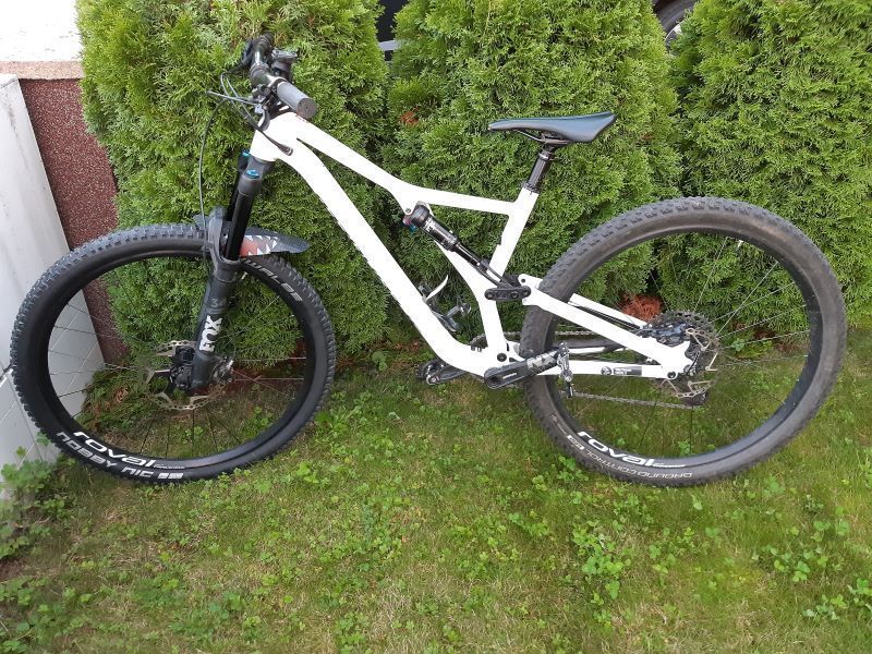 Specialized Stumpjumper LT comp alloy 29 2019 L