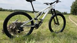 Stumpjumper EVO S4 model 2023