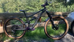 Specialized status 160