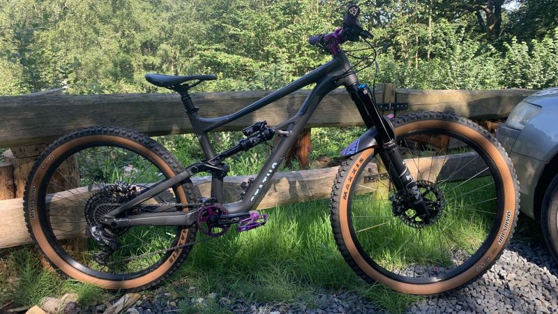 Specialized status 160