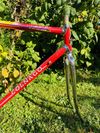 Colnago Master 