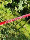 Colnago Master 