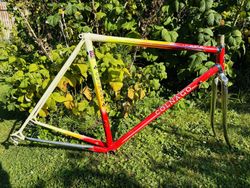 Colnago Master 