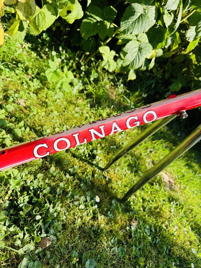 Colnago Master 