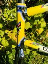 Colnago Master Olympic Art Decor