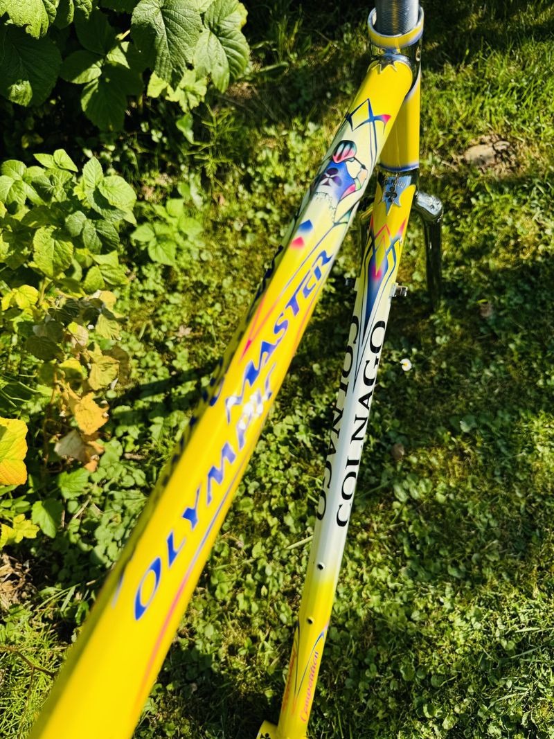 Colnago Master Olympic Art Decor