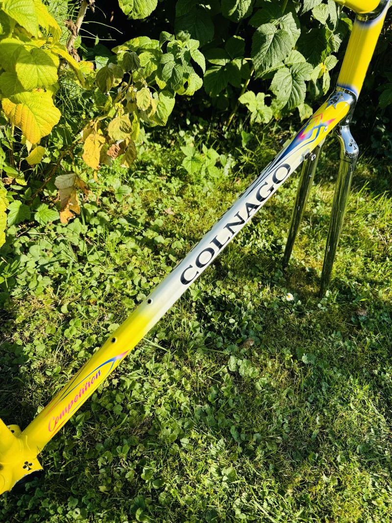 Colnago Master Olympic Art Decor