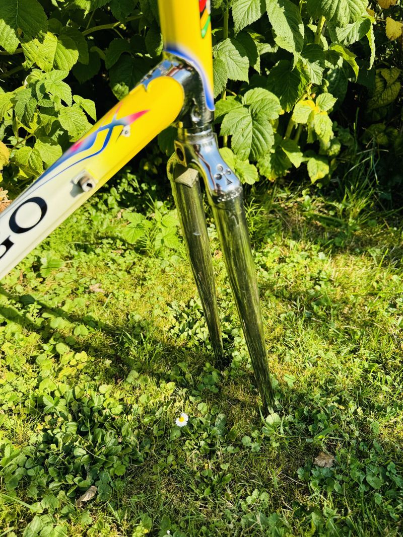 Colnago Master Olympic Art Decor