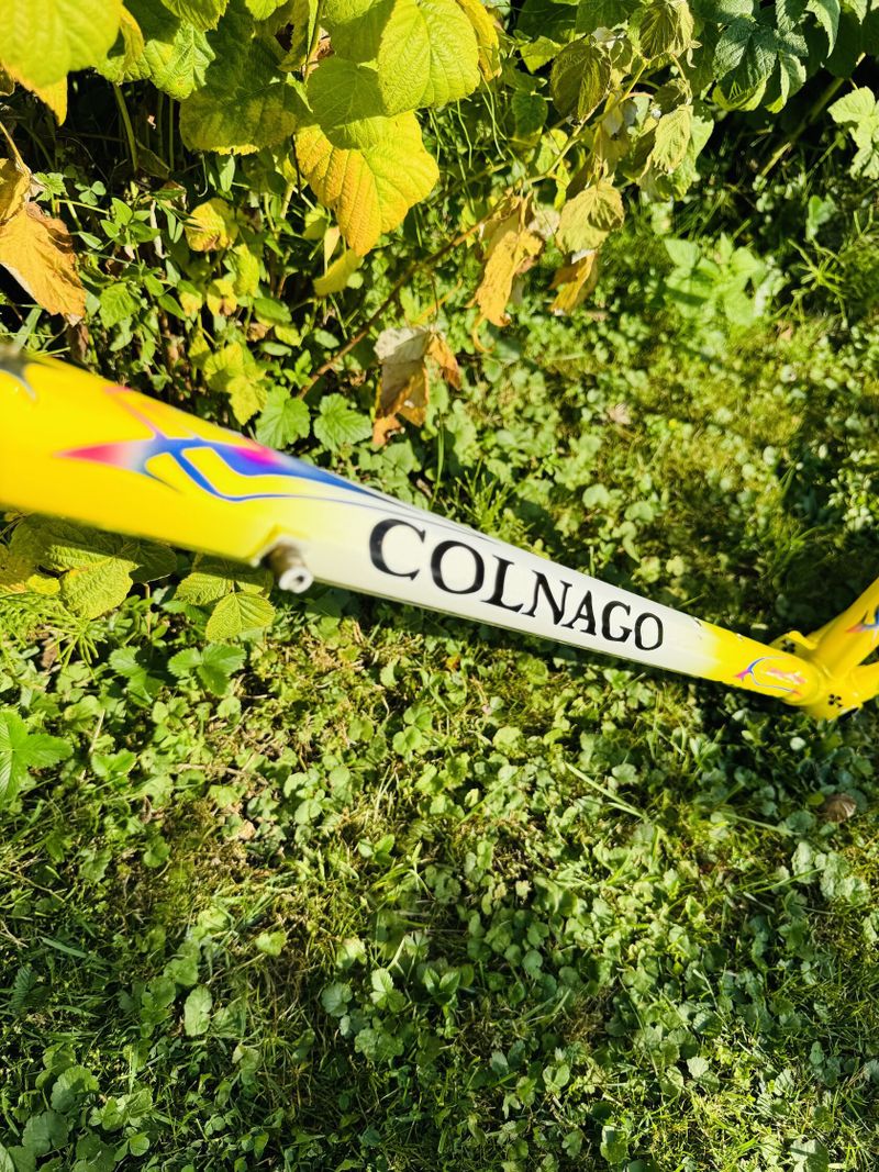 Colnago Master Olympic Art Decor