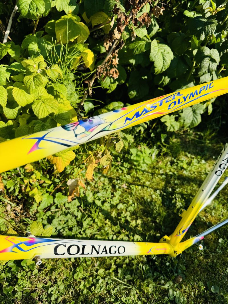 Colnago Master Olympic Art Decor