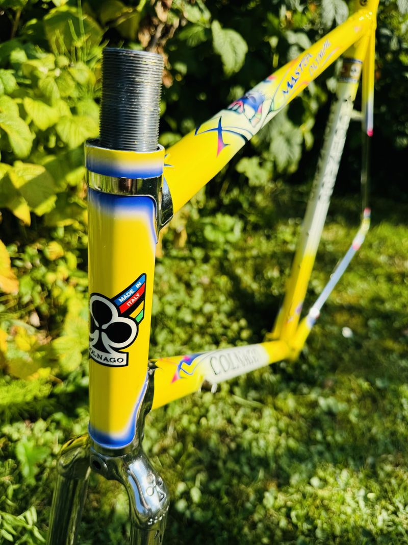 Colnago Master Olympic Art Decor