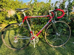 Colnago Master Olympic Decor “Trifoglio”