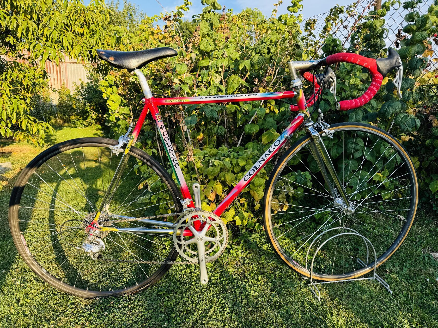 Colnago Master Olympic Decor “Trifoglio”