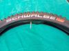 Schwalbe