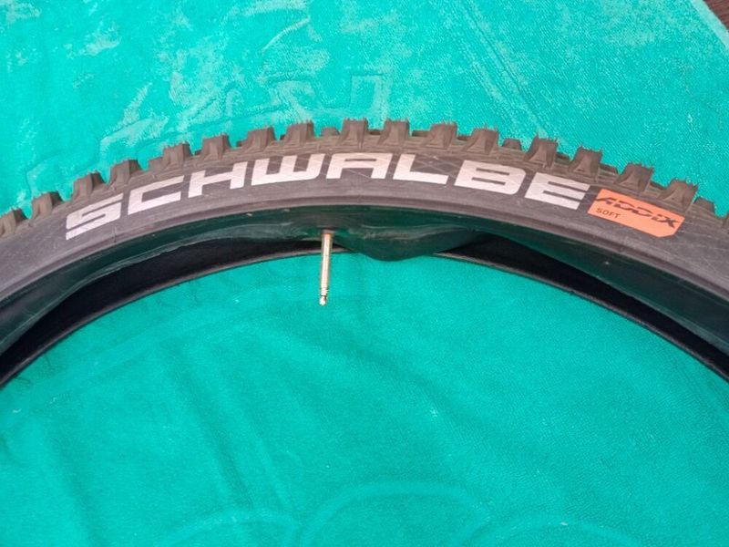 Schwalbe