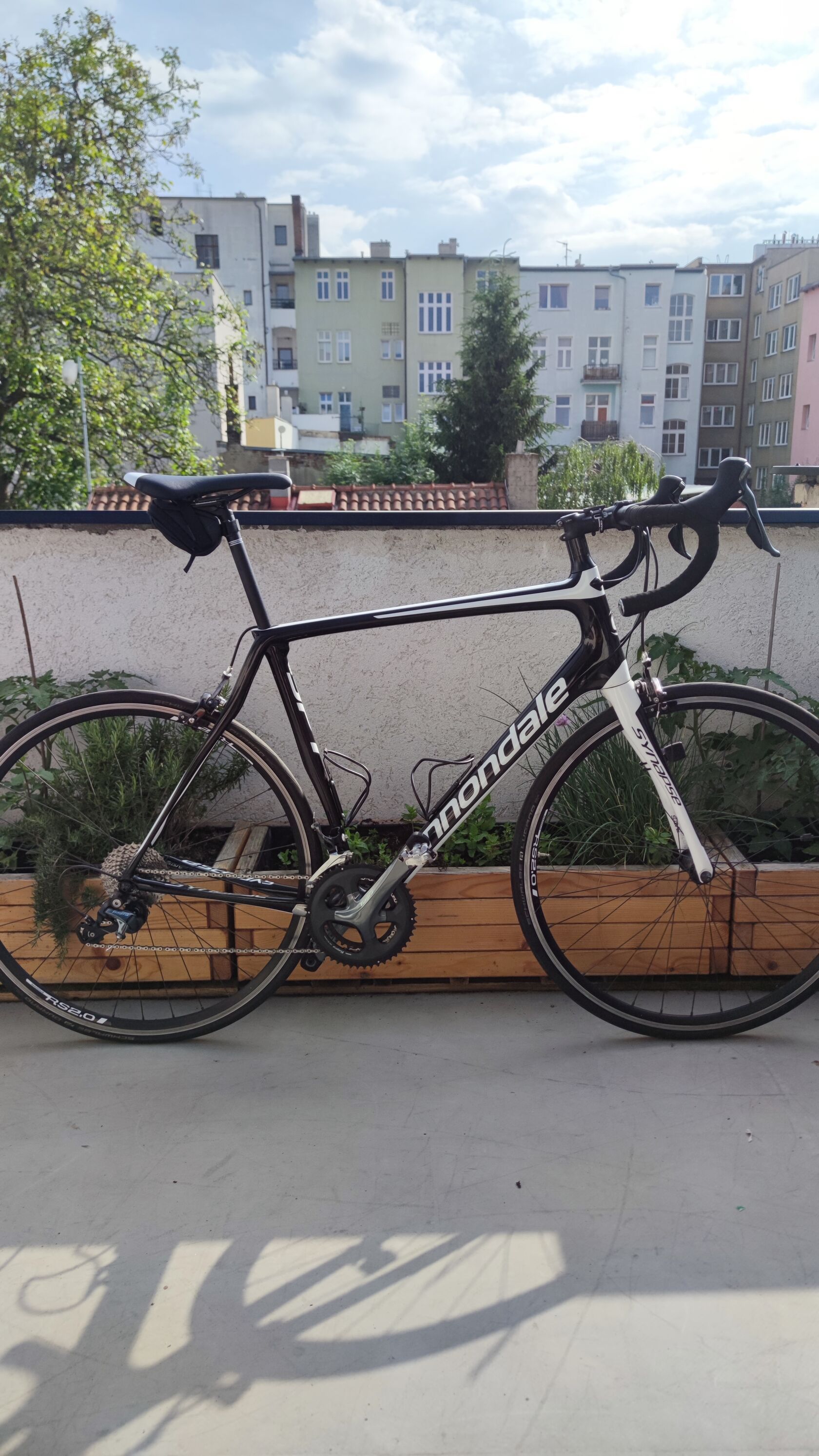 Cannondale Synapse Carbon vel. 58