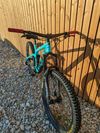 Trek remedy 9.8 2019 M\L Miami Green 