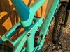 Trek remedy 9.8 2019 M\L Miami Green 