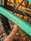 Trek remedy 9.8 2019 M\L Miami Green 