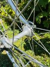 Colnago Master Campagnolo 50th Anniversary