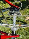 Colnago Master Campagnolo 50th Anniversary