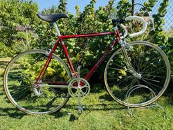 Colnago Master Campagnolo 50th Anniversary