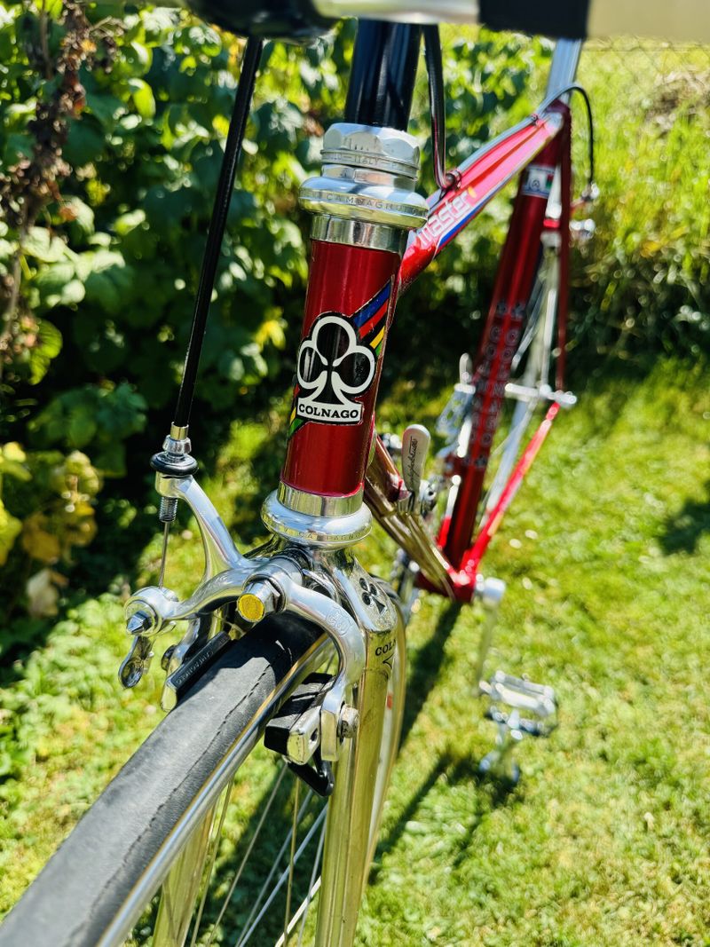 Colnago Master Campagnolo 50th Anniversary