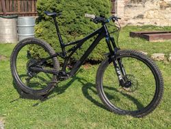 Specialized Stumpjumper Expert S4